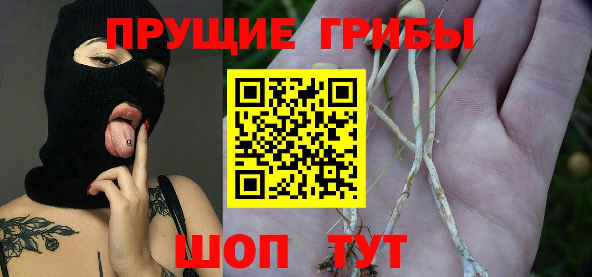 Галлюциногенные грибы MAGIC MUSHROOMS Серпухов